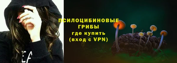 крисы Абдулино