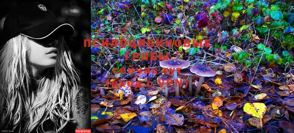 PSILOCYBIN Алзамай