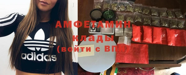 крисы Абдулино