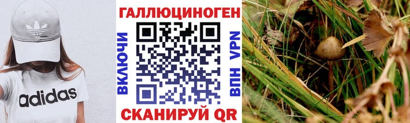 блэк спрут вход  дарк нет состав  Псилоцибиновые грибы мицелий  Салават 