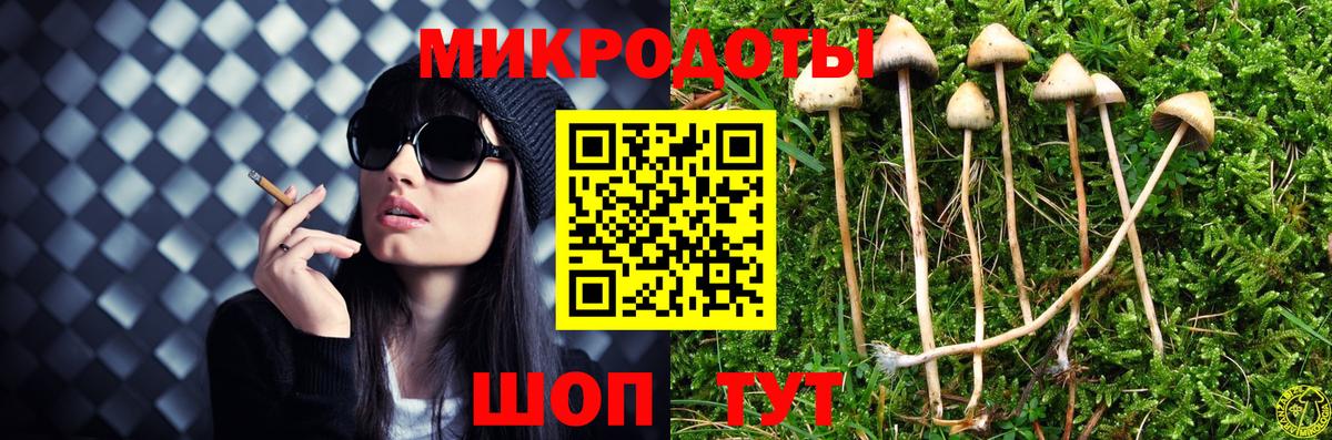 Псилоцибиновые грибы Cubensis Салават