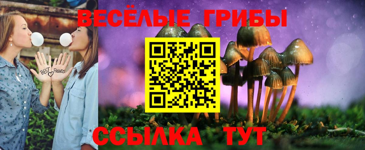 Салават  Галлюциногенные грибы мухоморы  Вход с VPN  Псилоцибиновые грибы ЛСД 